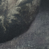 CZASZKA, 2015 </br> 21×30 cm, tempera na desce