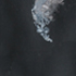 GRZBIET, 2017 </br> 54×35 cm, tempera na papierze